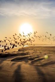 Undiscovered Dreamscape Beautiful Sunset Beautiful Nature Nature Photography