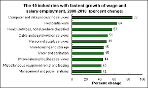 The 10 Industries With Fastest Growth Of Wage And Salary Employment 2000 2010 Percent Change Fastest Growing Industries Data Services Water And Sanitation