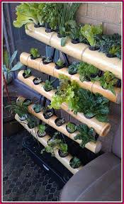• blog post here but first, let's review the basics of hydroponic design. Pin On Indoor Garden Ideas