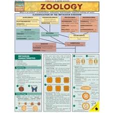 booksmart zoology quick study chart