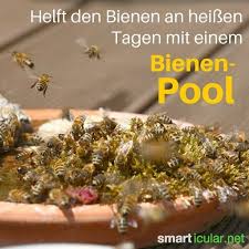 Pin Auf Umweltschutz Leichtgemacht