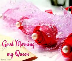 101 Good Morning My Queen Images Best Collection Good Morning Beautiful Morning Wish Good Morning Wishes