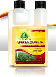 Do not just throw them away. Amazon Com Growers Trust Spider Mite Killer Non Toxic Biodegradable Natural Pesticide Organic Ingredients Earth Friendly Pest Control Solution Makes 1 Gallon Rtu Garden Outdoor