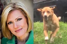 Cecily Tynan's dog fighting Lyme disease