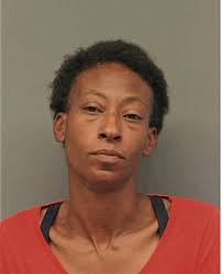 ᐅ Illinois Criminal Records 2009-2025