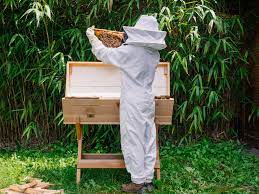 Bees can travel several miles to collect nectar and pollen, so they do not need flowering plants close by. Fabqs Can I Really Keep Bees In My Backyard Bee Bloom