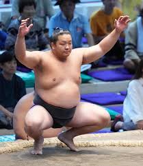 朝白龍、全勝優勝で新十両昇進へ！ケガを乗り越え掴んだ栄光 - Imagen principal del artículo