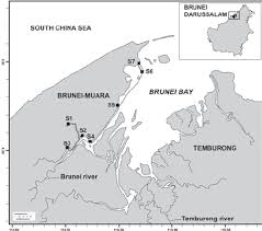 Km (2,226 sq mi) on the island of borneo. The Geological Map Of Brunei Darussalam And Nw Borneo Source Back Et Download Scientific Diagram
