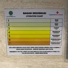 Toilet In Indonesia Has A Pee Color Chart To Help You See If