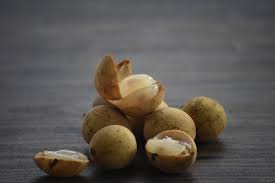 Lansium parasiticum, commonly known in english as duku fruit, langsat or lanzones, is a species of tree in the mahogany family with commercially cultivated edible fruits. 244 Best Dokong Images Stock Photos Vectors Adobe Stock