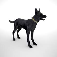 Check out the news videos on my chanel subscribe to see the progression of daisy. Belgische Malinois Black Multicam Id Kragen Low Poly 3d Modell Turbosquid 1246329