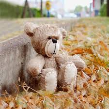 Falling In Love With Teddy Old Teddy Bears Teddy Bear Hug Teddy Bear