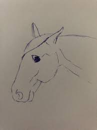 Welkom in het aanvraag topic paarden tekenen je mag hier andere gebruikers vragen een mocht je foto's van details hebben die het tekenen makkelijker maken: 3 Signalen Dat Je Paard Mogelijk Pijn Heeft Leer Symptomen Herkennen