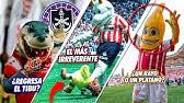 Jan 13, 2021 · el 6 de junio se realizarán las elecciones intermedias en el país, unas de las más grandes en la historia de méxico. Asi Sera La Mascota De Mazatlan Fc Dibujando Con Ubaldo Youtube
