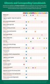 cannabinoids medical marijuana las vegas cohen medical