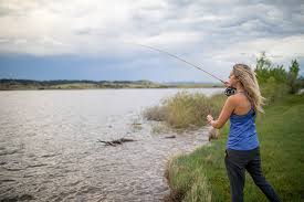 View campsite map, availability, and reserve online with reserveamerica. Tongue River Reservoir State Park Montana Fwp