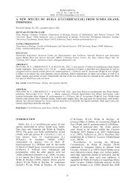 Image result for Cucumis aetheocarpus