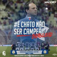 A competição manteve o formato de pontos corridos com 20 times onde as quatro melhores equipes se classificam para a série a e as. E Chato Demais Campeao Brasileiro Serie B 2018 Esporte Clube Fortaleza Esporte Fortaleza Clube