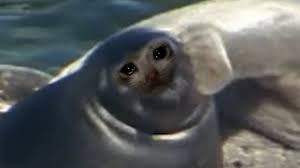 Check spelling or type a new query. Short Stubby Claws Youtube