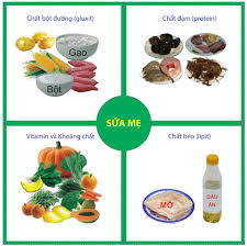 Dinh dưỡng cho trẻ 18 đến 24 tháng tuổi - YouMed