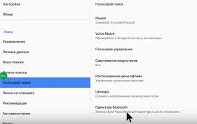 Kak Nastroit Golosovoj Poisk Na Lyubom Smart Tv Bokse