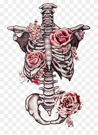 Animated full human body anatomy. Lungs Shaped Vegetable Digital Art Lung Drawing Art Anatomy Rib Cage Skeleton Heart Color Flower Png Pngwing