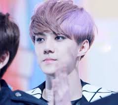 Sehun Purple Hair Purple Hair Sehun Hair