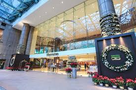 Phong cảnh nên thơ hữu tình cộng với khách sạn sang trọng đã tạo nên một sheraton nha trang đẹp như một. Lá»… Tháº¯p Sang Cay Thong Giang Sinh Táº¡i Sheraton Saigon