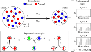 In asexual populations, a single genome with a mutation that makes it better than its competitors will quickly spread and overtake the population. Ecological Success Of Sexual And Asexual Reproductive Strategies Invading An Environmentally Unstable Habitat Biorxiv