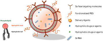 Check spelling or type a new query. Molecules Free Full Text The Diverse Range Of Possible Cell Membrane Interactions With Substrates Drug Delivery Interfaces And Mobility Html