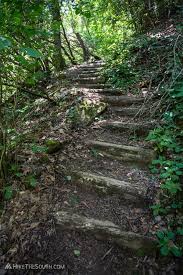 One of the most popular trail areas in caesars head state park, this route makes an excellent middle of the road hike if the raven cliff falls trail alone is too easy and the raven cliff falls loop is too intimidating. Raven Cliff Falls Suspension Bridge Hikethesouth
