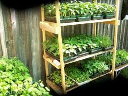 Start A Backyard Nursery Business Backyard Plants Plants Diy Plant Stand