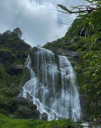 𝗦𝗢𝗨𝗧𝗛 𝗞𝗢𝗥𝗘𝗔 𝗧𝗢𝗨𝗥✈️🇰🇷 𝐄𝐱𝐩𝐞𝐫𝐢𝐞𝐧𝐜𝐞 𝐂𝐇𝐄𝐑𝐑𝐘  𝐁𝐋𝐎𝐒𝐒𝐎𝐌 5𝑫4𝑵 𝐀𝐧𝐧𝐲𝐞𝐨𝐧𝐠𝐡𝐚𝐬𝐞𝐲𝐨! Good news, May sched na  kami for Sakura season. Limited slots only. Reserve yours now. Make your  Cherry Blossom Experience ...