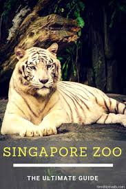 These two animal parks are very close to night. Singapore Zoo And River Safari Nerd Nomads Singapore Zoo Zoo Pictures Singapore Attractions