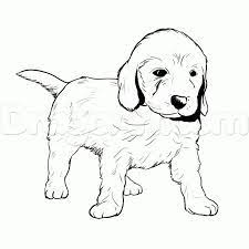 Printable coloring and activity pages are one way to keep the kids happy (or at least occupie. 27 Amazing Picture Of Golden Retriever Coloring Page Albanysinsanity Com Dog Coloring Page Puppy Coloring Pages Puppy Drawing