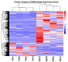 Image result for Cyamopsis serrata