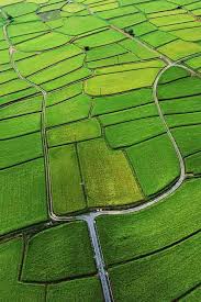 Pin By Revaree Nophaket On Paisajes Color Of Life Aerial Photo