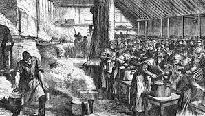 the irish potato famine 1846 1850