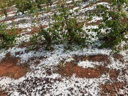 É uma pedra muito utilizada na construção civil e em ornamentos. Jornada Do Cafe Do Plantio A Comercializacao Como Se Recuperar Da Chuva De Granizo E Pseudomonas Agro Slim