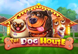 The Dog House Slot by Pragmatic | Play Slots at LiveBet Casino!