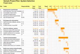 sample project plan for packaged system selection