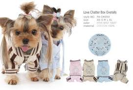 Yorkie puppies for sale in ohio. Apparel Clothing Yorkie Hotel Boutique Grooming Port Elizabeth
