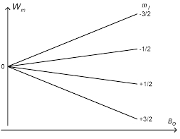 Go ahead, it's free to look! 2