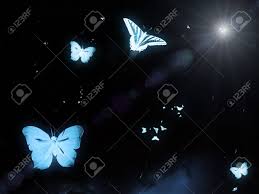 Butterfly Night Light Stock Photo Picture And Royalty Free Image Image 11731256
