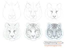 Here you are able to manipulate the photo to a size that you would like to draw. How To Draw A Tiger Face Head Step By Step Easydrawingtips