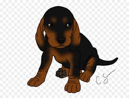 The drawing the black coonhound! Love Drawing