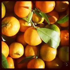 C Est La Saison De La Clementine Corse Le Plein De Vitamines Assure Clementines Corse Sante Bienetre Natuel In 2020 Fruit Instragram Apricot
