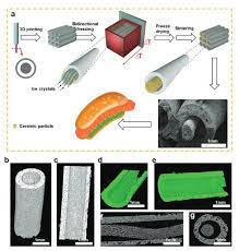 3d Printing Hot Dog Popular Fast Food Inspires 3d Bioprinted Bone Scaffold Https 3dprintingindu Hot Dogs 3d Printing Industry Chinese Academy Of Sciences