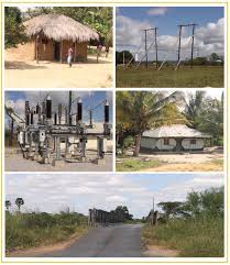 Image result for Ascolepis lineariglumis