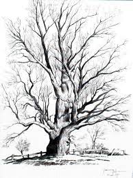 Pin On Trees Sketch